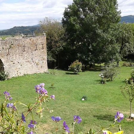 Le Clos De Soulages Gite 2 Pers Palmas Buitenkant foto